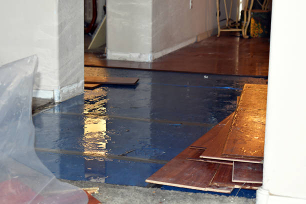 Professional Water Damage Restoration technician working in Hebron, NH